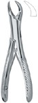Tooth Ext Forceps